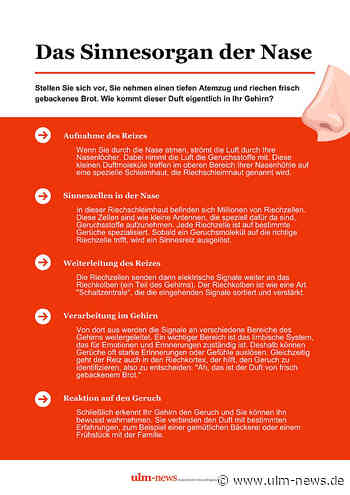 Wie Düfte den Menschen beeinflussen