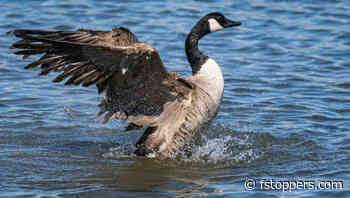 What Type of Photographer Are You, Proactive or Reactive? It's Worth Finding Out