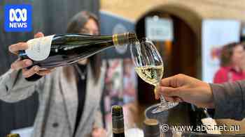 Wineries poised to cash in as Chinese buyers return to premium wine regions