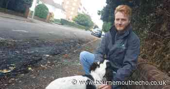 Residents 'have had enough' after spate of vehicle fires