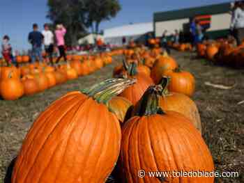 Photo Gallery: Pumpkin Palooza at Keil's Produce &amp; Greenhouse