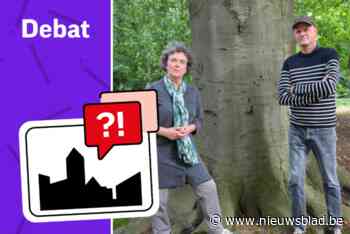 GEMEENTEDUEL. Bouwen in Boechout: “We zullen zien wat de mensen willen”