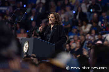 Harris blasts Arkansas governor's comments about her lack of biological children