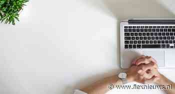 Hoeveel B.V.’s heeft een ondernemer in flex eigenlijk nodig?