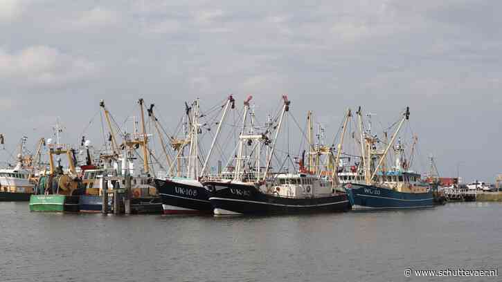 Saneringsregeling garnalenvisserij in de maak