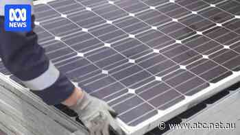 Recycling plant reducing solar panels to raw materials opens in Queensland