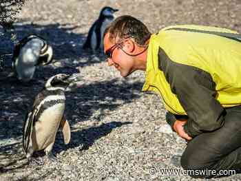 Elevate Your Brand With Real-Time VoC Insights