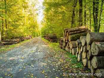 Why Marketers Should Own the Revenue Technology Stack