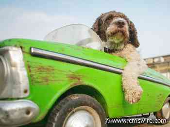 Smooth Operator: Balancing Execution and Strategy in Product Marketing