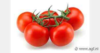 "Franse tomatenmarkt hersteld tijdens zomerperiode"