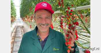 "Tomaten uit hightech kassen hebben geen last van lagere marktprijzen"