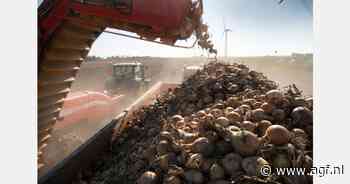 BO Akkerbouw vraagt verbindendverklaring aan voor uienteelt