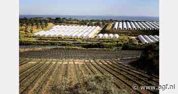 Nieuwe Spaanse exporteur zachtfruit