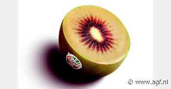 Zespri start proef met rode Italiaanse kiwi's in België