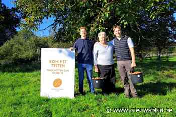 In deze boomgaard kan je zelf okkernoten rapen