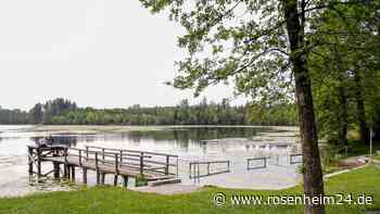 Überdüngt, von Pflanzen befallen und bald verlandet – hat der Tinninger See eine Zukunft?