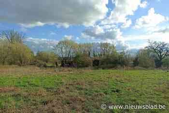 Vereniging Vogelzang wil natuurgebied Mijlemeers beschermen maar hekelt passiviteit in dossier