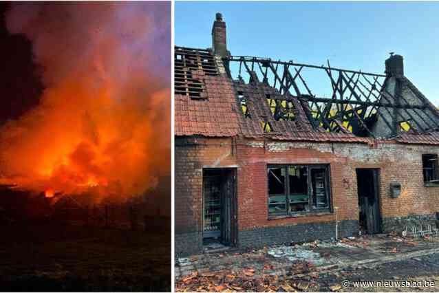 Vrijwilligers reageren verslagen nadat hondenschool volledig in vlammen opgaat: “Maanden keihard gewerkt”