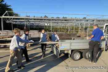 Lommelse leerlingen maken banken en andere voorwerpen van bomen die moesten wijken voor Rondweg