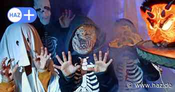 Hannover feiert Halloween 2024: Diese Partys gibt es für Kinder und Familien