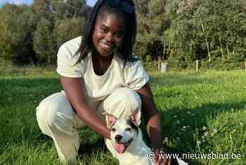 Open VLD Borgerhout pleit voor dierenwelzijn en verantwoordelijk gedrag van baasjes: “District moet voor iedereen aangenaam zijn”