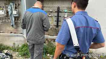 Vampiri d'energia alle case popolari. In un forno condizioni igieniche precarie e lavoratori in nero