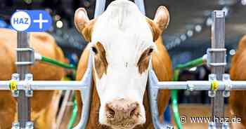 Eurotier-Messe 2024 Hannover: Eintritt, Anreise und Programm im Überblick