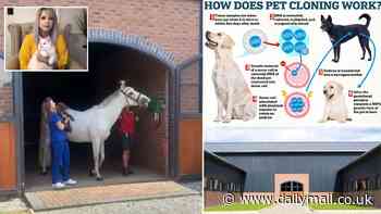 Inside the British lab where you can clone your PETS: Shropshire clinic has reproduced everything from sausage dogs to Suffolk Punch horses - as desperate owners splash out thousands to bring back their animals