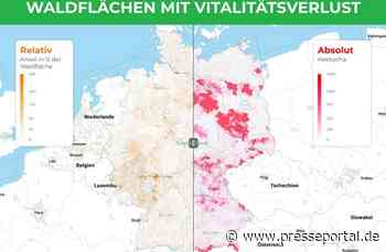 Wie steht es um den Gesundheitszustand des Waldes in meiner Gemeinde?
