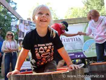 Grape Stomp at Plympton-Wyoming winery aids raptor rehab