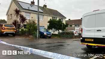 Dead dog and rifle found with couple's bodies