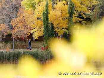 Edmonton weather: It's fall, but it's a cooler summer feel to start the work week