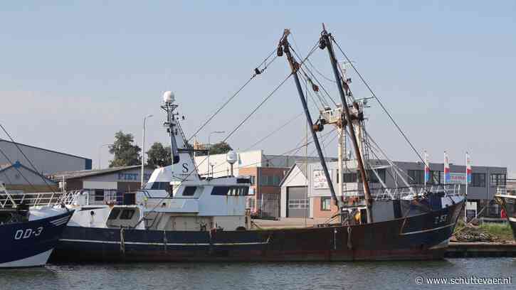 Boomkorkotter Z-53 Van Eyck uit 1981 naar de sloop
