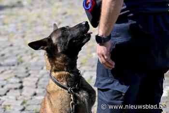 Politie houdt grootschalige actie met drugshonden in stationsomgeving