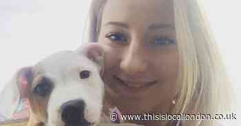 Croydon dog warden wins platinum RSPCA award for second year running