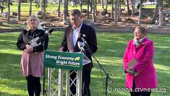 Sask. Party promises women at-home HPV screening kit as alternative to Pap test in clinic