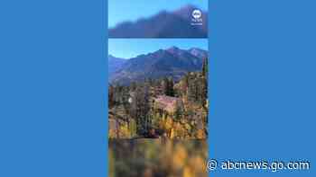 WATCH:  Drone captures world's largest continuous set of dinosaur tracks