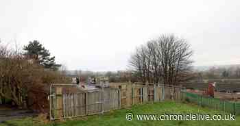 Pelaw homelessness accommodation scheme granted permission to fix slope