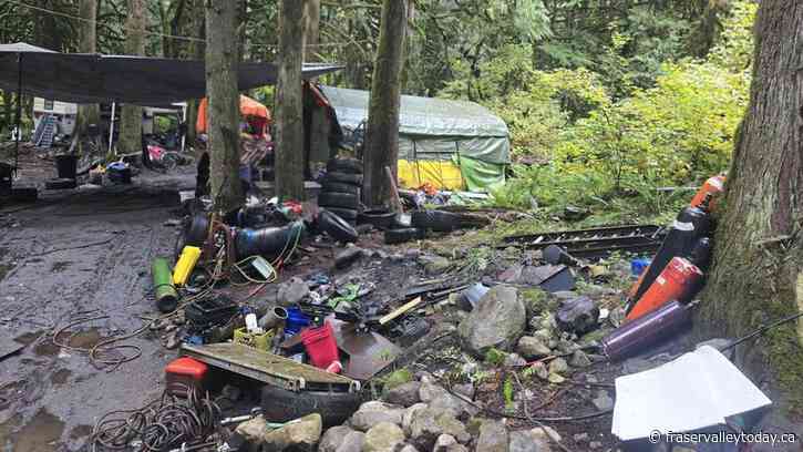 Volunteers set to clean up homeless camps in Hope this week, with RCMP in attendance
