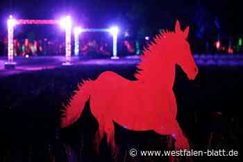 „Höxter leuchtet“: Wenn am Wall die Tierwelt neu erwacht