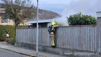 Zwerm wespen komen tevoorschijn bij schuurbrand