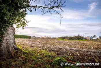 In juni veroordeeld voor huisjesmelkerij, dinsdag staat beruchte kotbaas Appeltans opnieuw voor de rechter