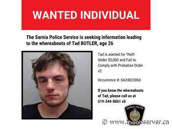 Two wanted people arrested: Sarnia police