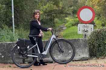 Ria Melis (ProMol) stapt uit politiek: “De manier waarop dossiers doorgeduwd worden, is echt teleurstellend”