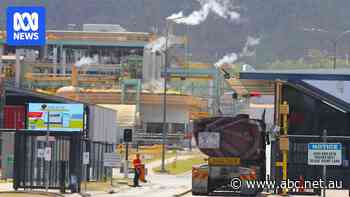 Townsville company fears jobs at risk as bitter battle for world's largest zinc refiner unfolds in South Korea