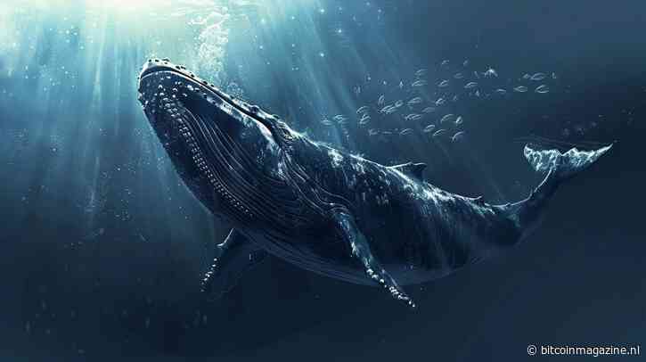 10x Research: bitcoin koers onder druk door whales en token-unlocks