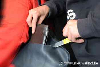 Gauwdieven stelen portefeuille van vrouw