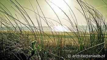 Natuurorganisaties stappen naar rechter om bescherming Noordzee