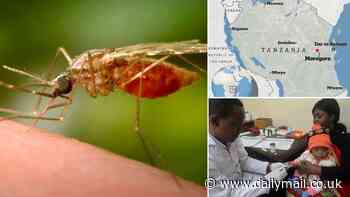 Urgent warning over MUTANT mosquitoes that have developed a resistance to insecticide