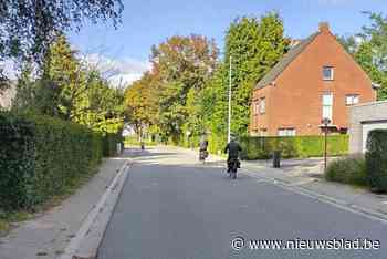 Auto’s mogen binnenkort niet meer aan beide kanten van de Kasteelweg parkeren